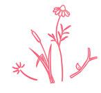 お花